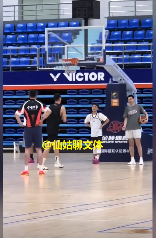 焦泊乔是大