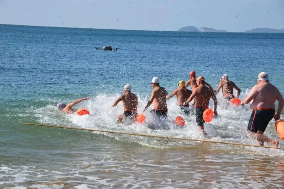 杆活动, mNEIF, cqnTG 杆活动, mNEIF, cqnTG